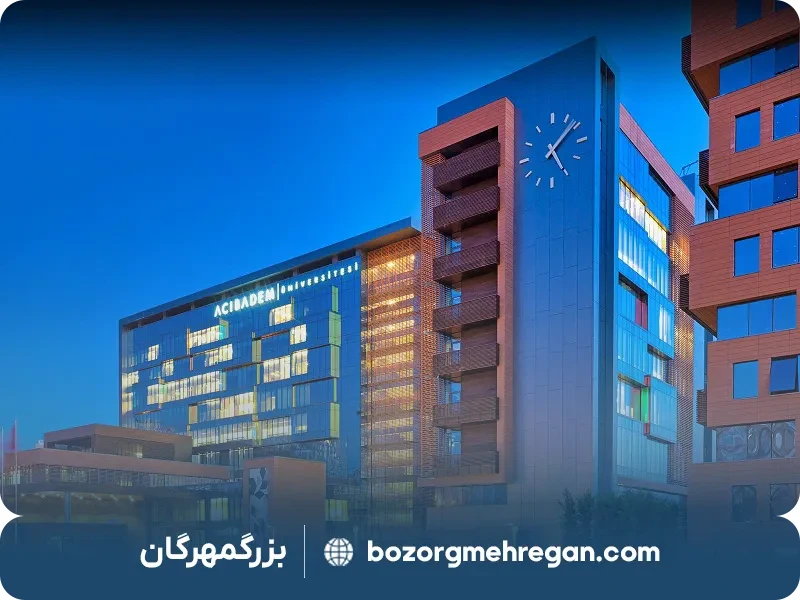 رنکینگ دانشگاه آجی بادام استانبول