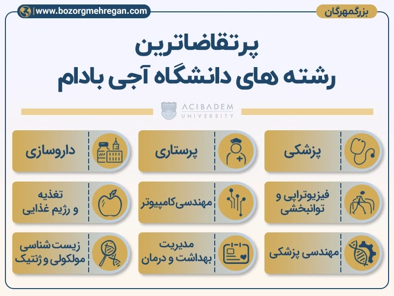 رشته های دانشگاه آجی بادام