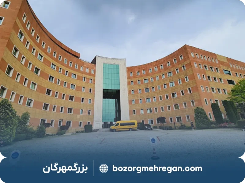 تحصیل فیزیوتراپی در ترکیه بدون آزمون: دانشگاه یدی تپه 