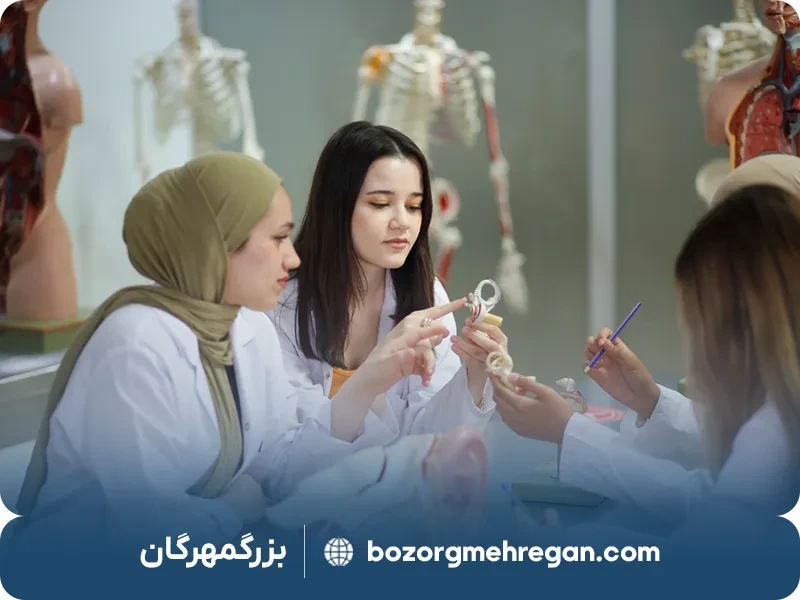 معرفی بهترین دانشگاه های ترکیه برای پزشکی