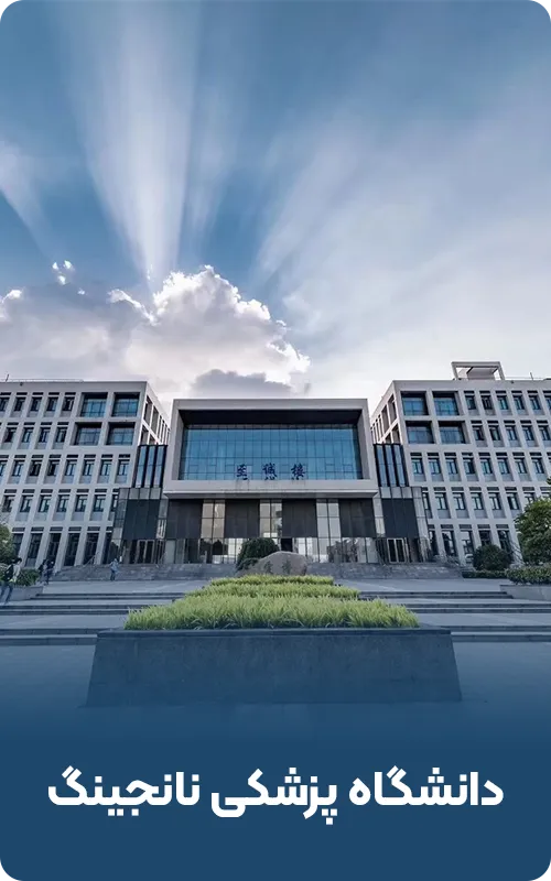 دانشگاه نانجینگ