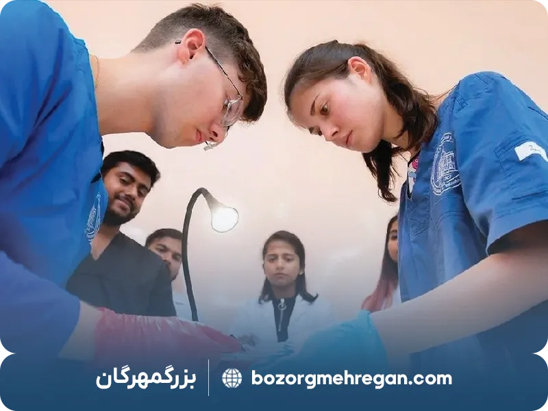 دانشگاه مچنیکوف