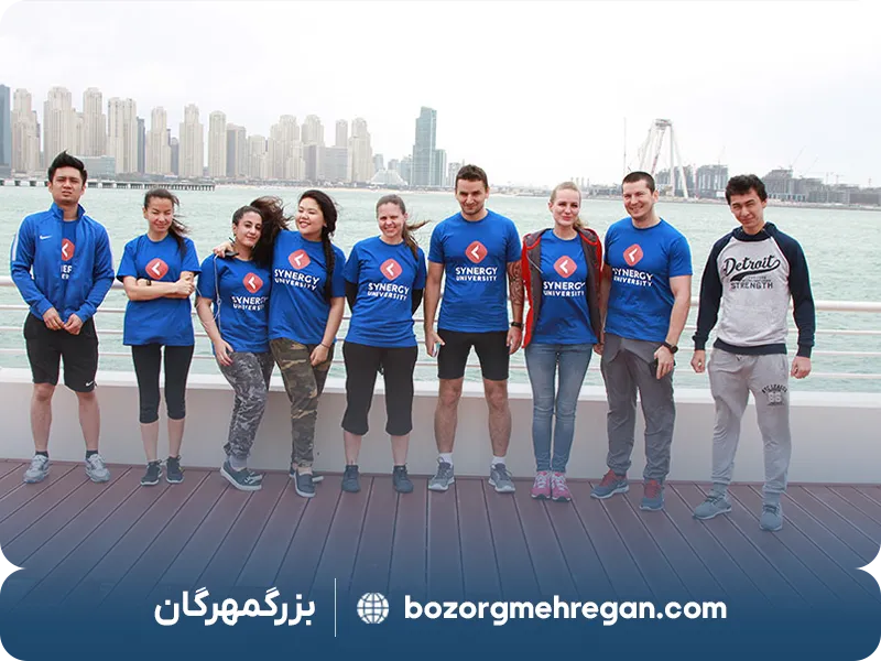 دانشگاه سینرژی