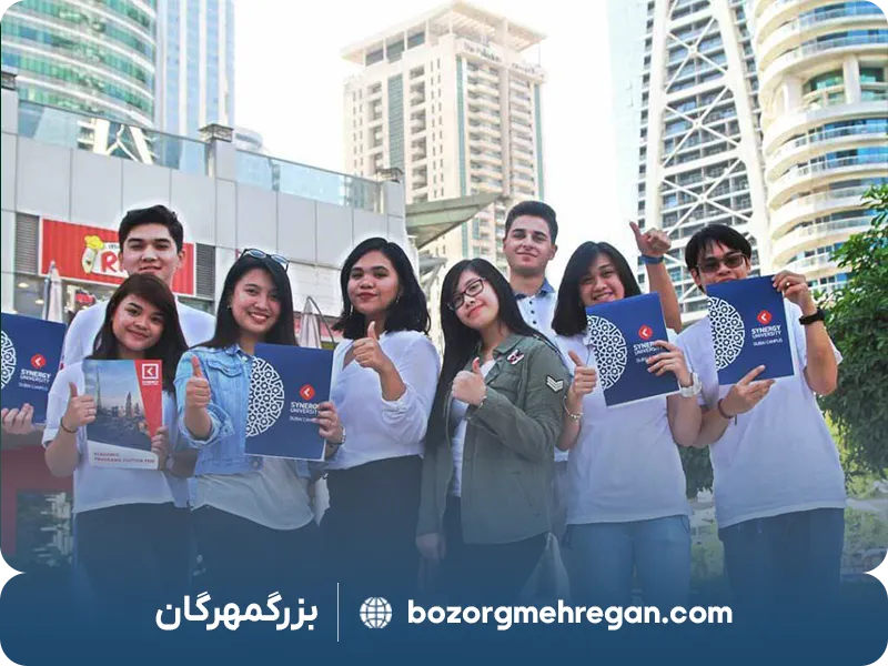 دانشگاه سینرژی