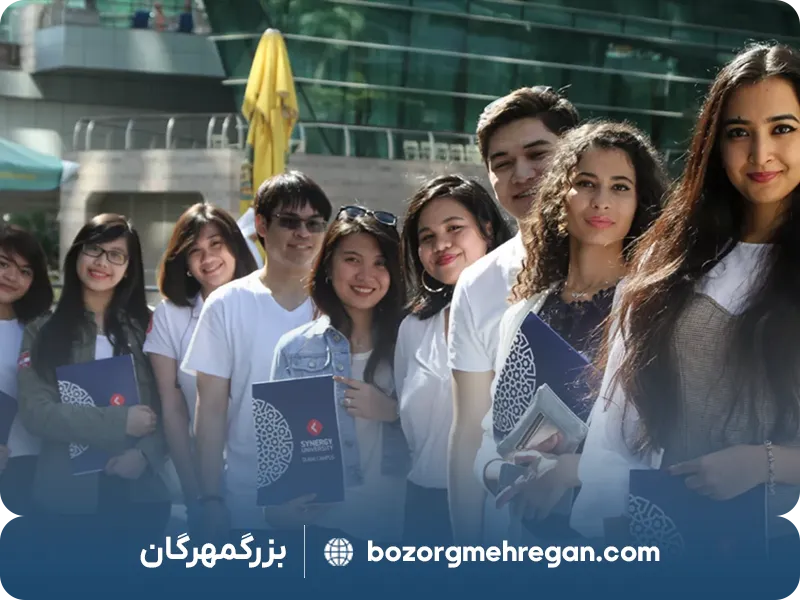 دانشگاه سینرژی