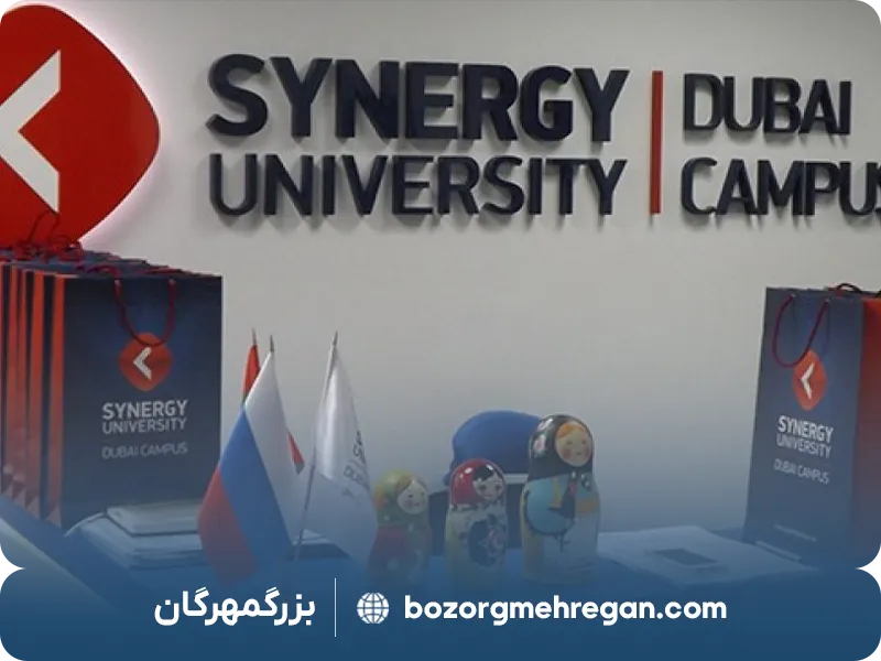 دانشگاه سینرژی