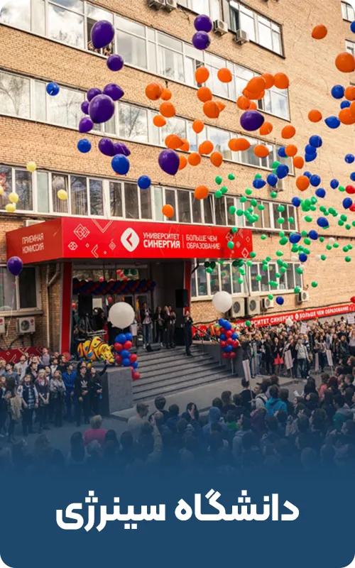 دانشگاه سینرژی