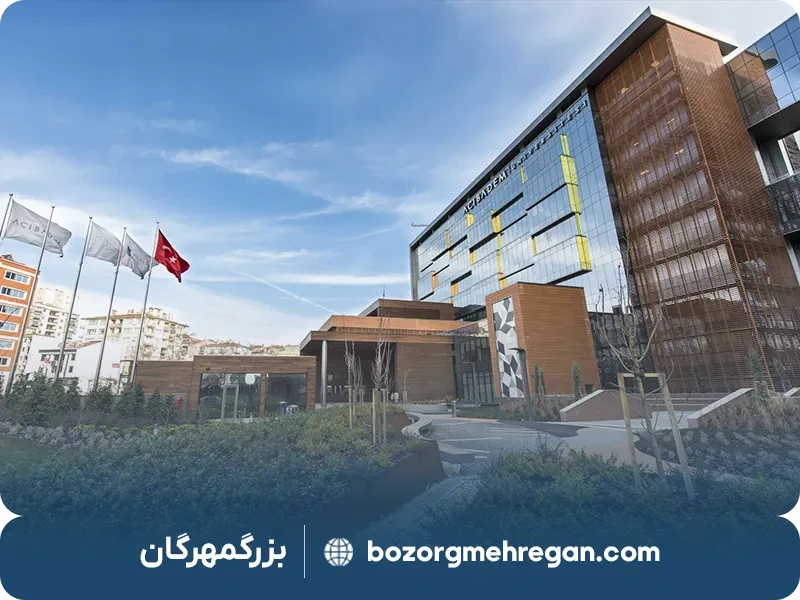 هزینه تحصیل در ترکیه؛ دانشگاه آجی بادام